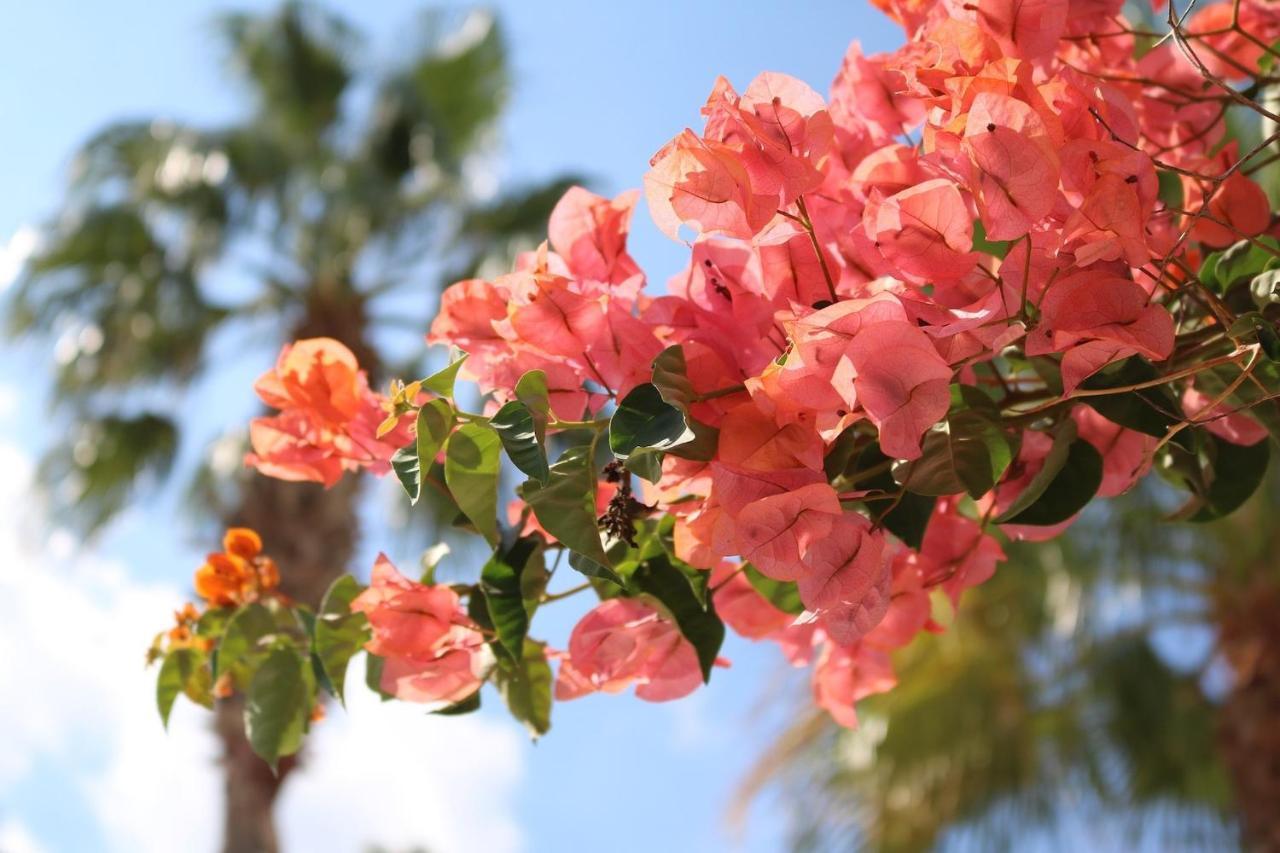 Cala Serena Beach 6 Luaran gambar